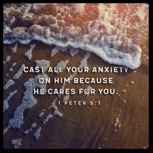 Meet your Posher, Jamila